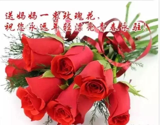 南箭化工祝全天下所有的妈妈母亲节快乐！